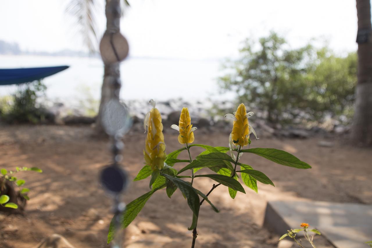 Kala Bahia Hotel Patnem Beach Eksteriør billede